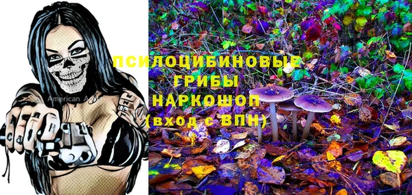 дживик Костерёво