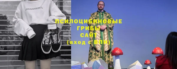 дживик Костерёво