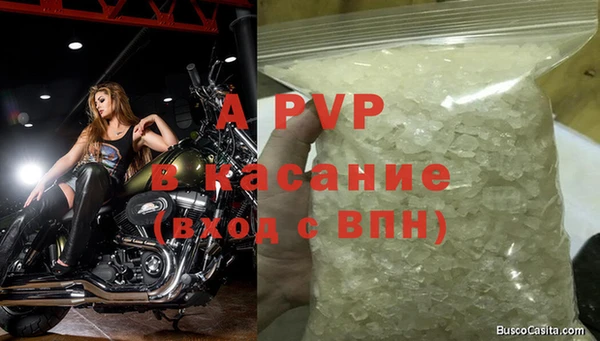 дживик Костерёво