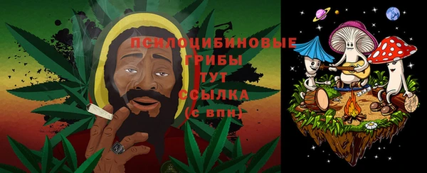 дживик Костерёво