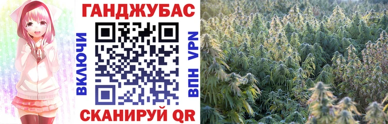 Купить где  Волгореченск  Марихуана MAZAR 